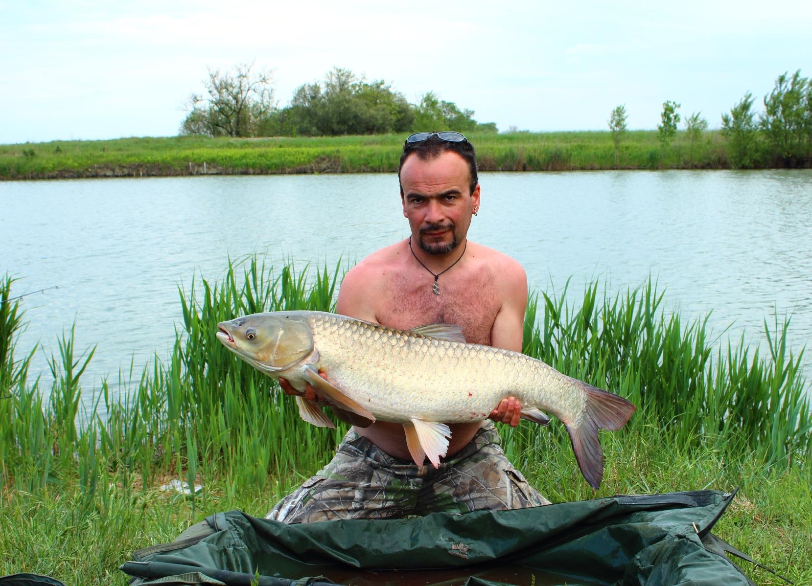 carpfishig -stil de viata - IMG_0381.JPG